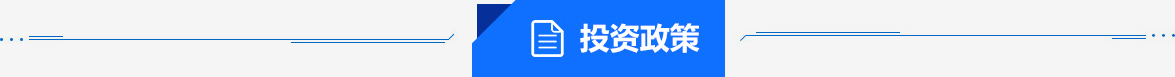 投資政策