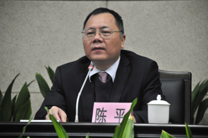 廣州市地方金融監督管理局副巡視員陳平