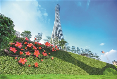 廣州塔下綠化墻,映襯著“廣州藍”,顯得分外明艷。