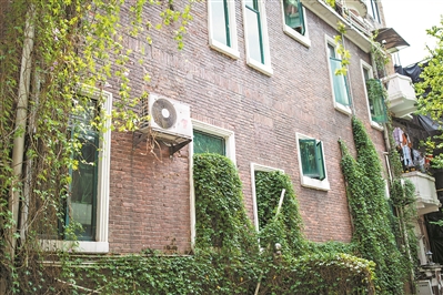 東山口舊民居,有不少外墻都被攀援植物覆蓋,自然形成“垂直綠化”的景觀。2