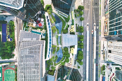 太古匯空中花園，高大樹木和低矮密集植物搭配，形成一片生態型“綠色高地”。2