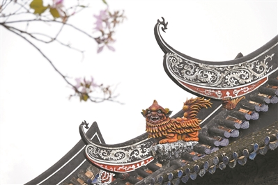 以手中灰白 塑屋脊繽紛5.jpg