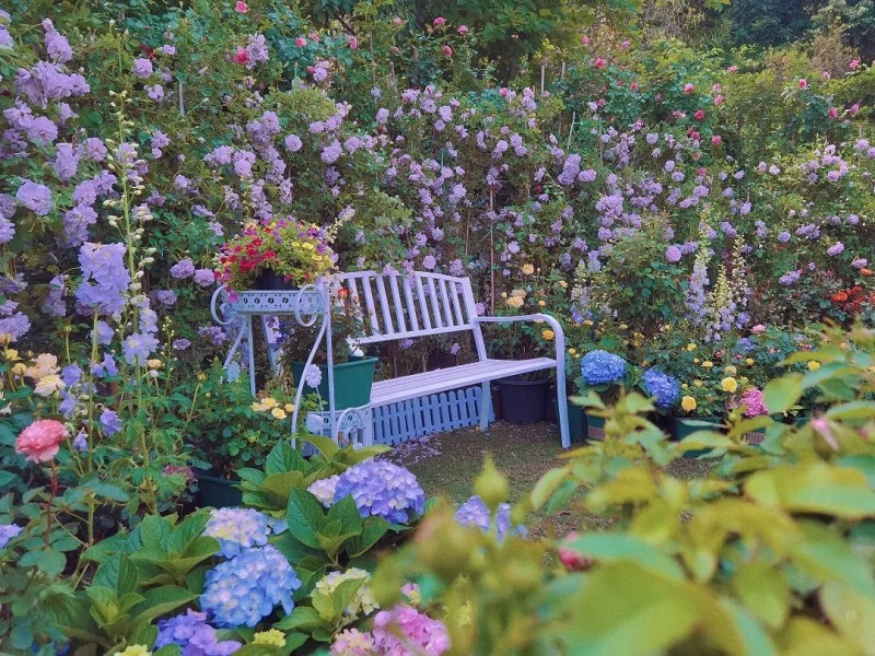 這個母親節，帶上親愛的媽媽來云臺花園賞花吧！