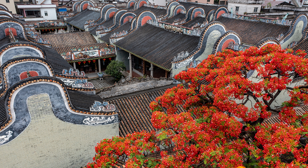 DJI_0465-HDR DJI_0465-HDR