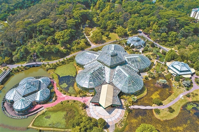 講好中國植物故事 彰顯生物多樣性魅力12.jpg