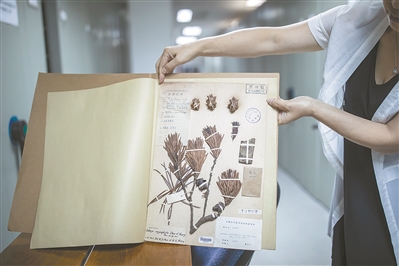 講好中國植物故事 彰顯生物多樣性魅力14.jpg