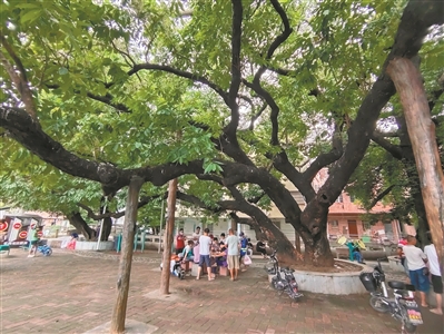 百年水翁 守護古村