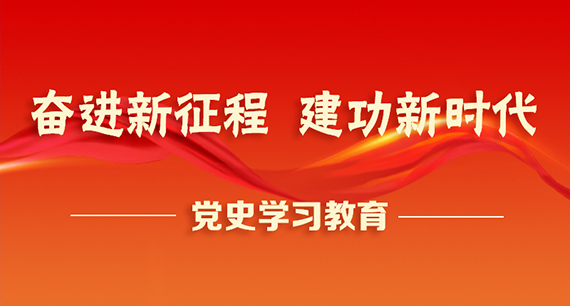 奮進(jìn)新征程 建功新時(shí)代 ——黨史學(xué)習(xí)教育專題