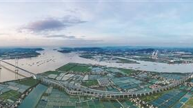 大灣區(qū)將是“你中有我，我中有你”