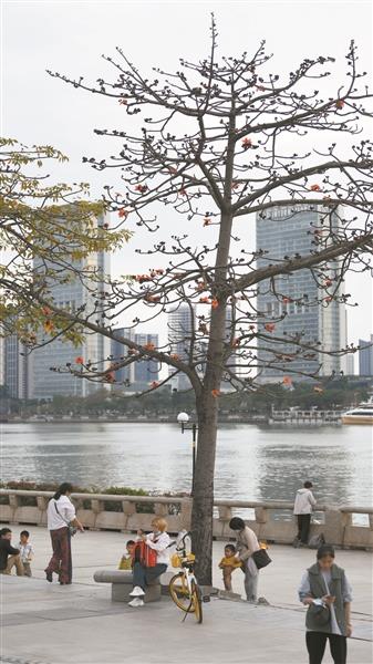 自動轉(zhuǎn)存圖片