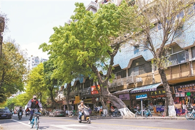 西華路東段曾名為“宜民市”