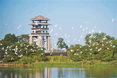 廣州南沙：潮涌灣區逐浪高