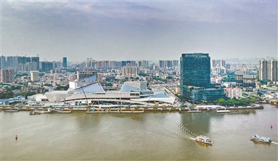 荔灣：聚“荔”發展 火“荔”全開