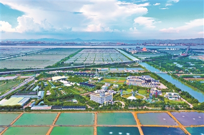 大海之中 造萬頃沙田