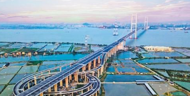 林克慶到南沙區調研