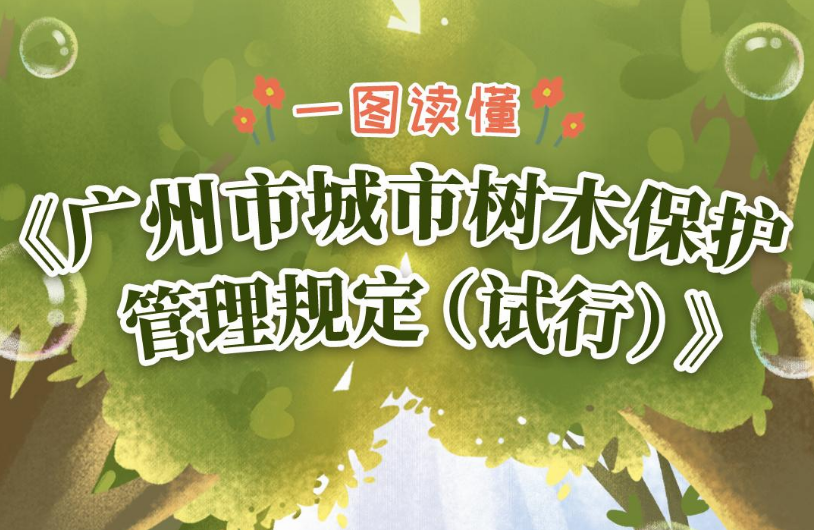 【一圖讀懂】《廣州市城市樹木保護管理規(guī)定（試行）》