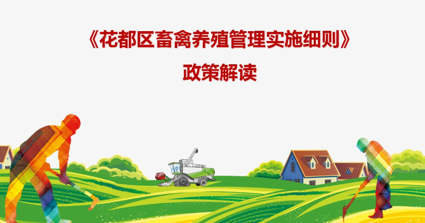 【一圖讀懂】《廣州市花都區(qū)畜禽養(yǎng)殖管理實施細則》政策解讀