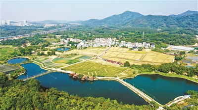 五色旅游線路 品讀黃埔文化