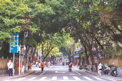 海上絲路帆影幢幢 千年“蕃坊”文化交融