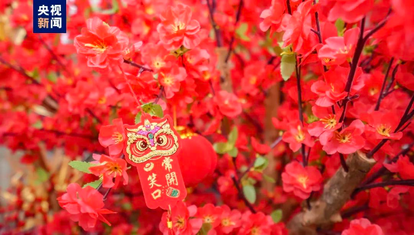 寫意春天里 灣區花正開