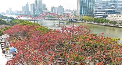 最是一年春好處 花城無處不飛花