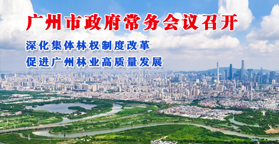 【一圖讀懂】一圖讀懂16屆63次市政府常務會議