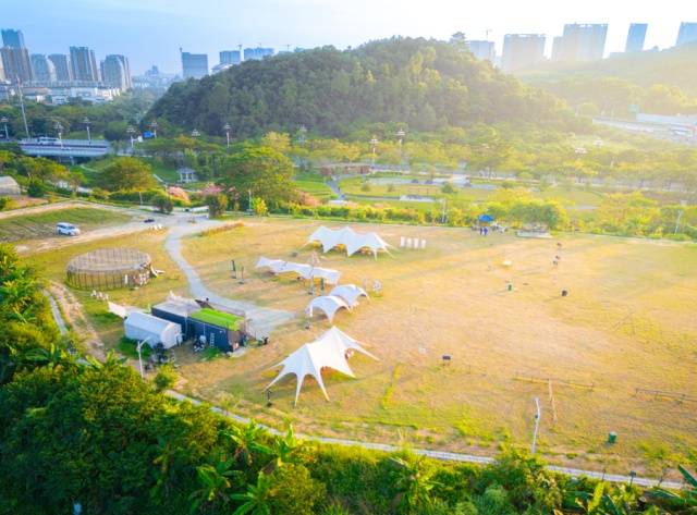 含“花”量超高！這些廣州最美賞花點(diǎn)等你來(lái)解鎖