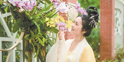 名園廣州蘭圃再出圈 “蘭緣盛薈·花開(kāi)越秀”文旅周讓“小蘭花”創(chuàng)造大收益