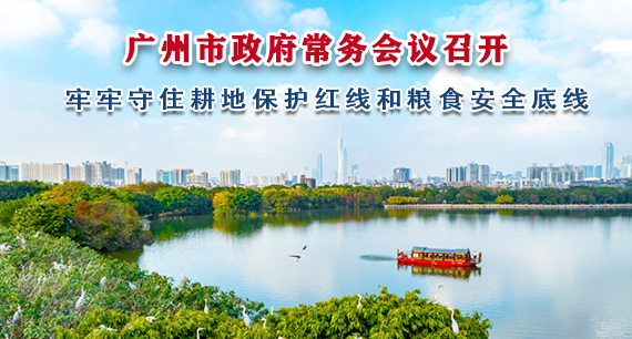 【一圖讀懂】一圖讀懂16屆72次市政府常務(wù)會(huì)議