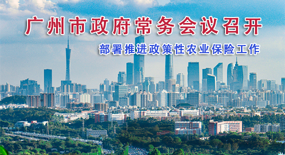 【一圖讀懂】一圖讀懂16屆74次市政府常務(wù)會(huì)議