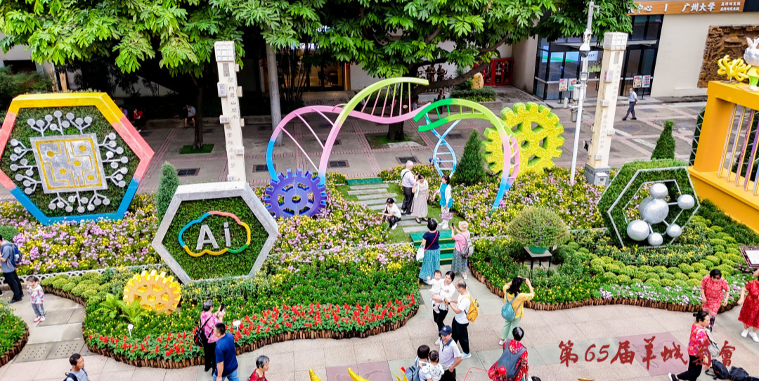 廣州文化公園羊城菊會(huì)開(kāi)幕，最佳觀賞期在月底