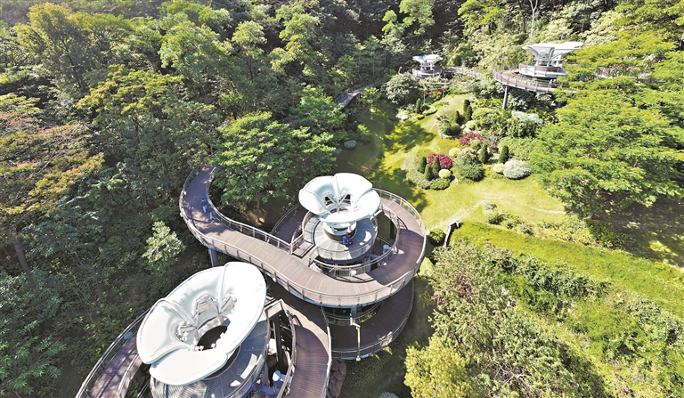 12986168_zhanghl_1732712874134_s