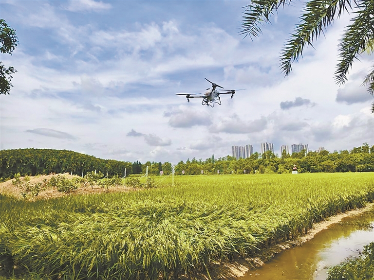 12985969_huangwx_1732710802397_s