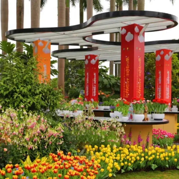 2024 Yuntai Garden Tulip Exhibition
