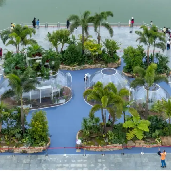 2024 Yuntai Garden Tulip Exhibition