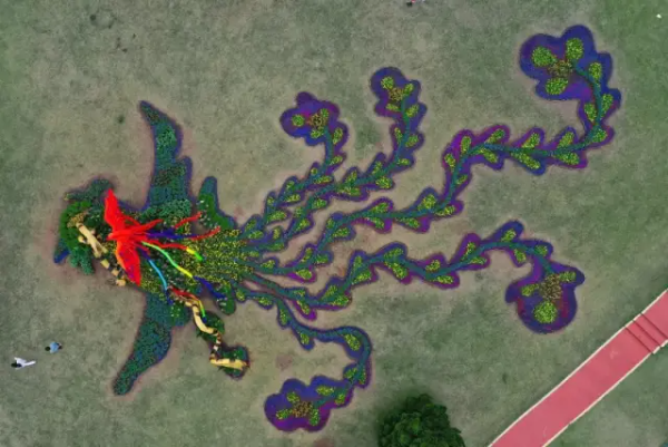 Photos of the 2024 Yuntai Garden Tulip Exhibition