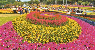廣州新年生機(jī)十足 多處賞花景點(diǎn)游人如織