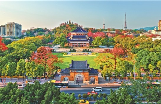 花開(kāi)羊城 春暖萬(wàn)家