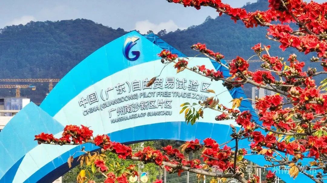 廣東省廣州南沙建設(shè)發(fā)展工作委員會全體會議和主任會議召開