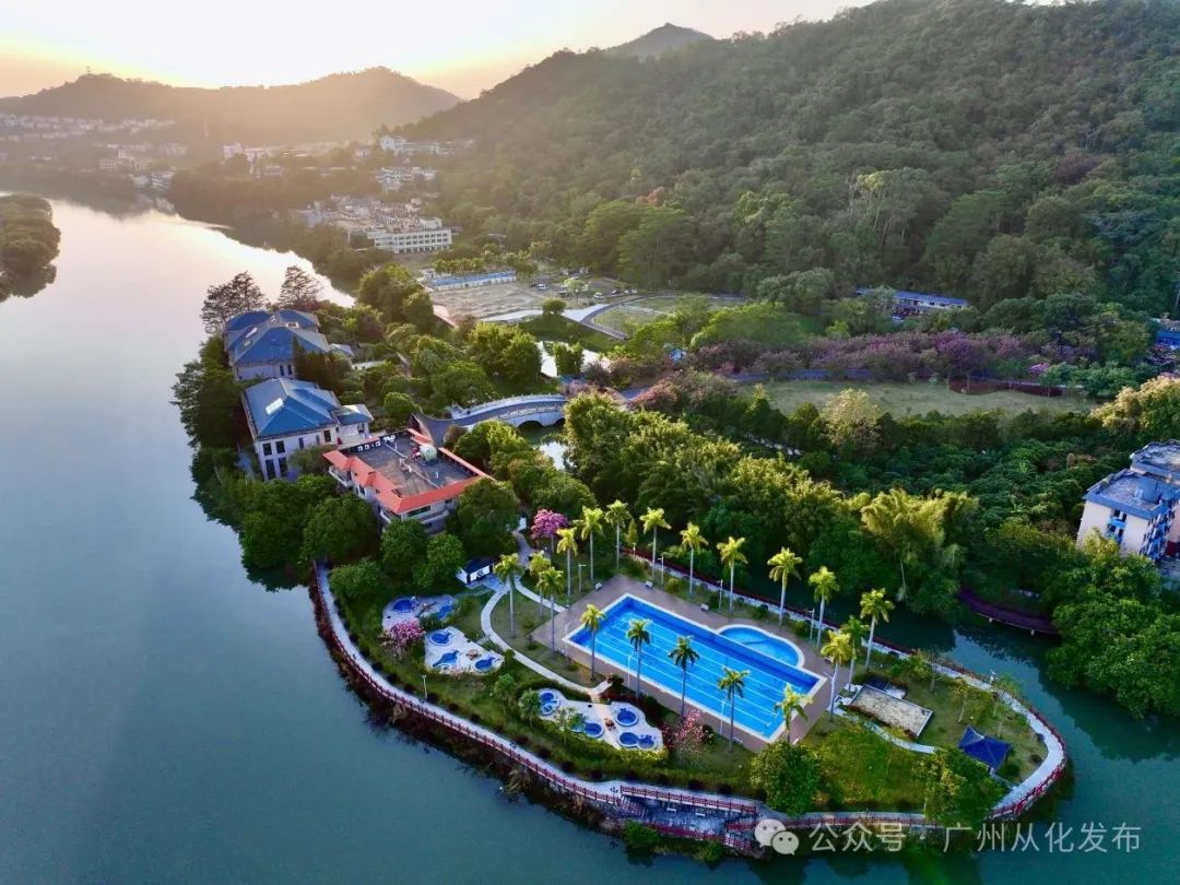 荔枝正紅時 從化“三月紅”搶鮮開摘!_fororder_2