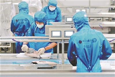 南沙區“藍色漁港”項目投產