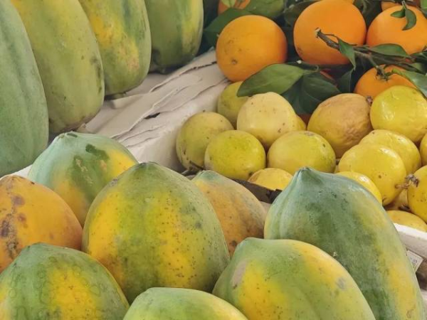 圖源@fun沙小隊 圖源@fun沙小隊