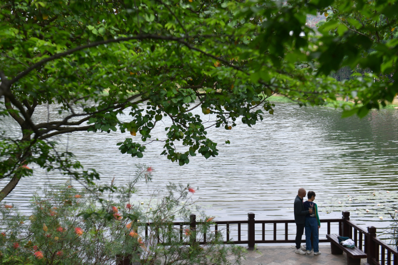 以綠為底，以花為媒！廣州公園景區(qū)80余項(xiàng)1400多場(chǎng)活動(dòng)“慶國(guó)慶、迎全運(yùn)”