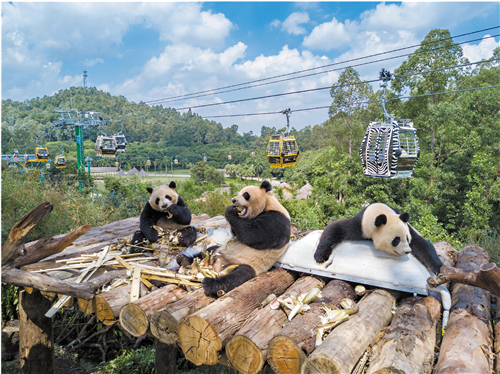廣州韻味：從早到晚“有睇頭”